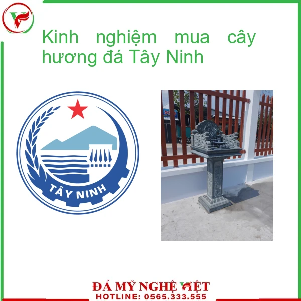 Kinh nghiệm mua cây hương đá Tây Ninh